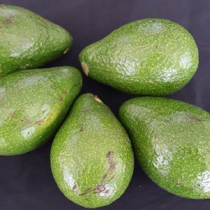 Avocado