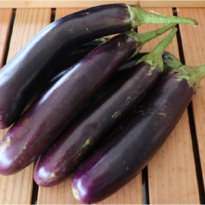 Eggplant