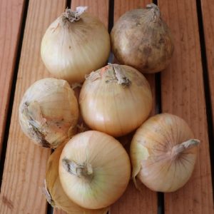 White Onion